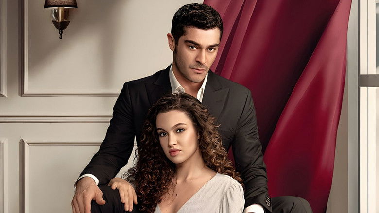 Bir Gece Masalı